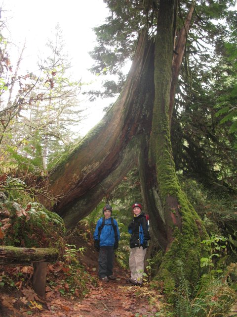 11.18.06 Latourell Falls 030 
